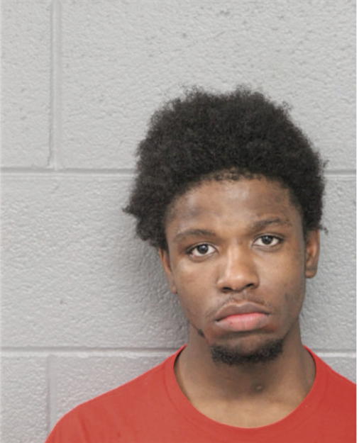 MICHAEL T WILSON, Cook County, Illinois