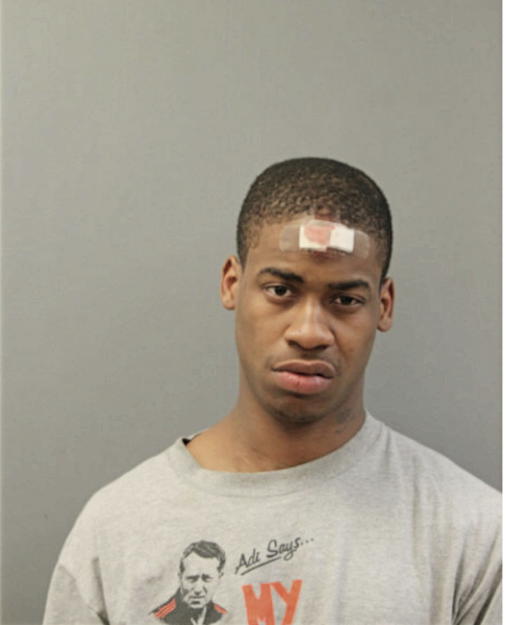 DARNELL ANDERSON, Cook County, Illinois