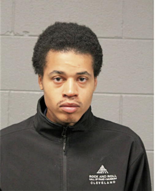 LAMONTAE S BUFORD, Cook County, Illinois
