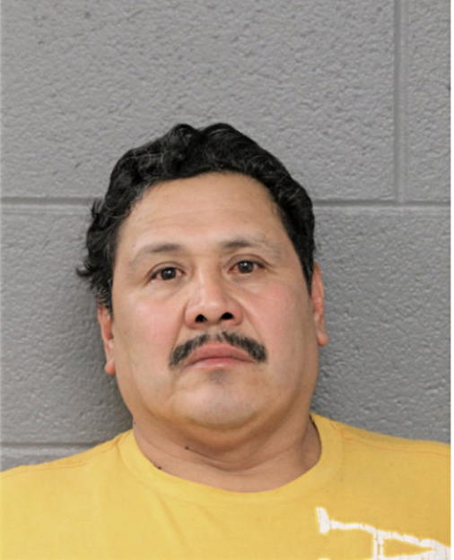 HILIGALDO FERNANDEZ, Cook County, Illinois