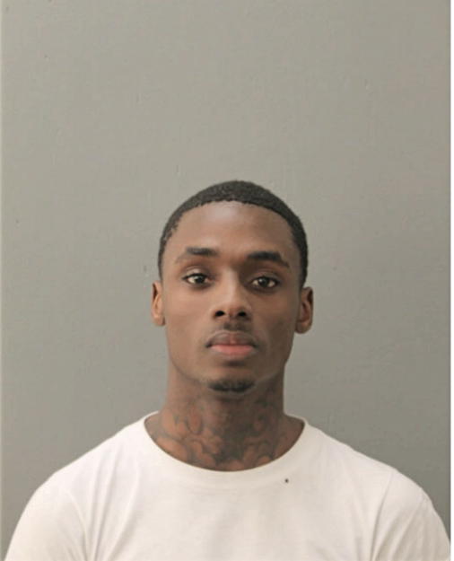 KENDALL A FLEMING, Cook County, Illinois
