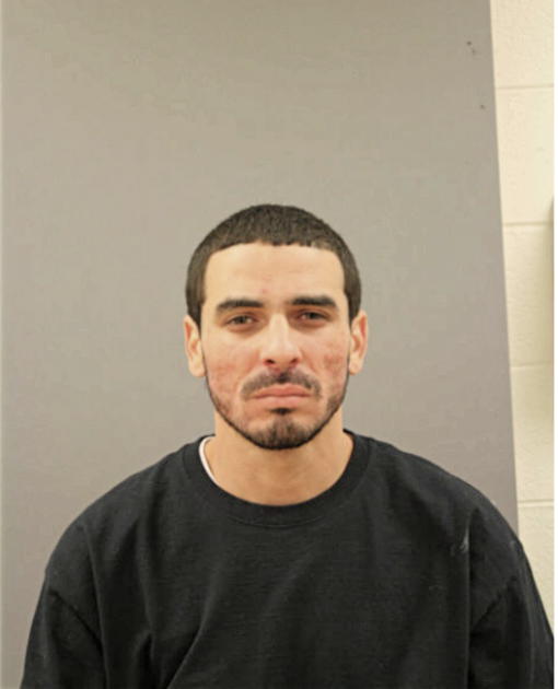 LUIS F FUENTES-CATALA, Cook County, Illinois