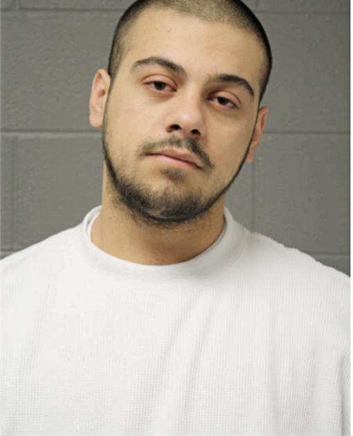ARBNOR GASHI, Cook County, Illinois