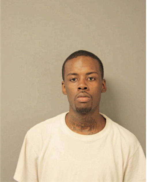 MATTHEW W GIBSON, Cook County, Illinois