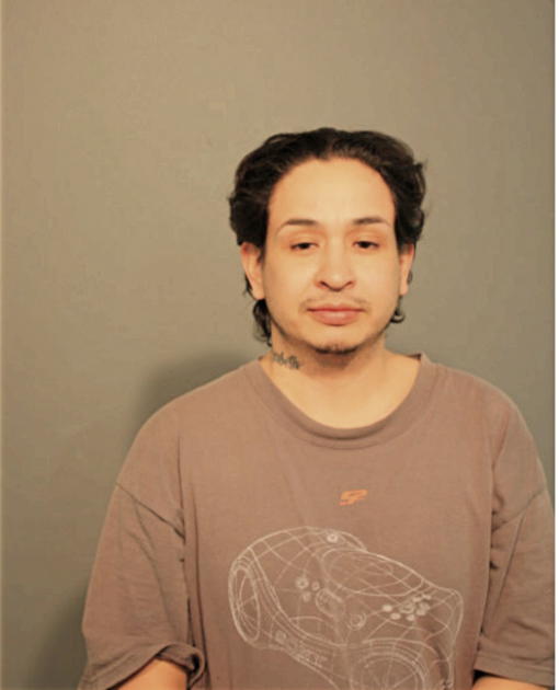 GUSTAVO A GOMEZ, Cook County, Illinois