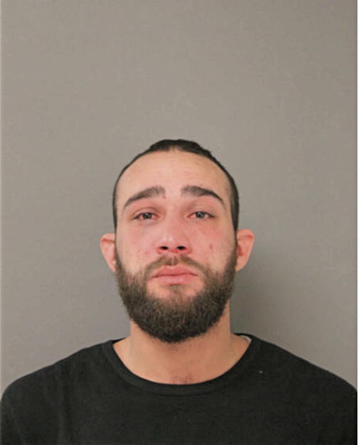 NELSON F GONZALEZ, Cook County, Illinois