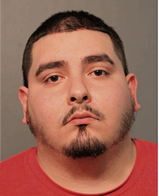 XAVIER L HERNANDEZ, Cook County, Illinois