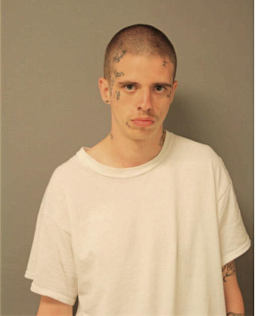 BRANDON HOYNES, Cook County, Illinois