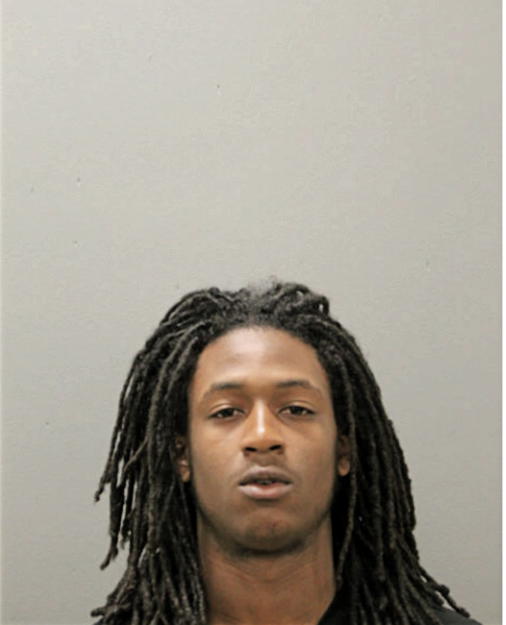 LAJUAN S JAMES, Cook County, Illinois