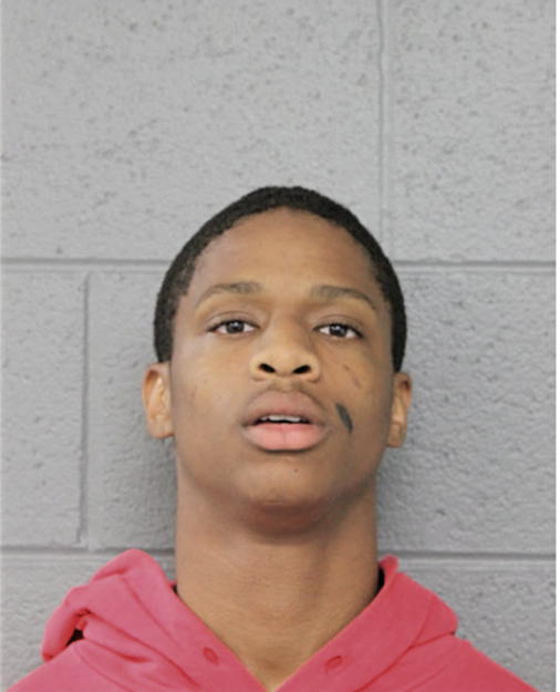 MARVIN T JOHNSON, Cook County, Illinois