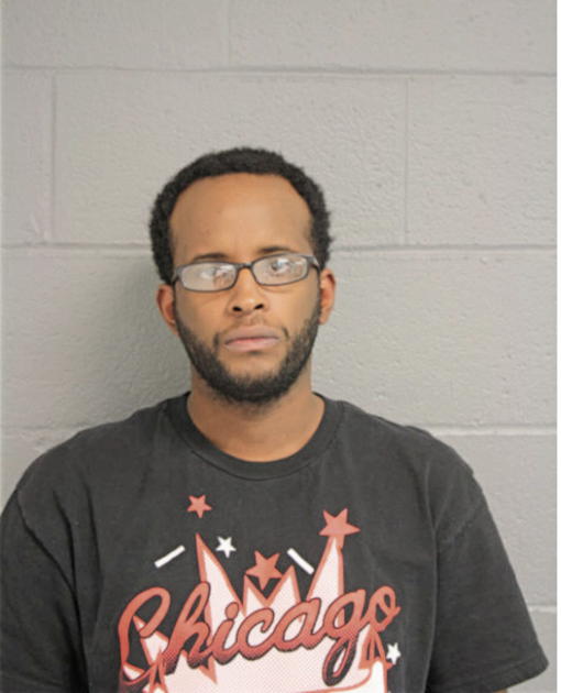 MELVIN JOHNSON, Cook County, Illinois