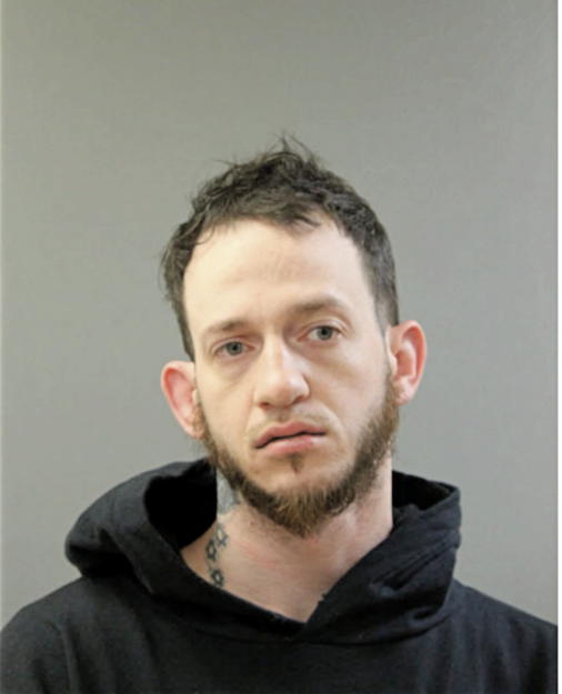ANTHONY M LAN, Cook County, Illinois