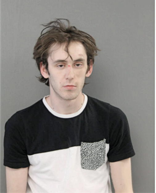 JOHN W LAUER, Cook County, Illinois
