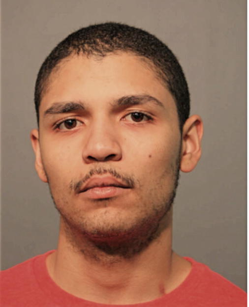 MOISES LEBRON, Cook County, Illinois