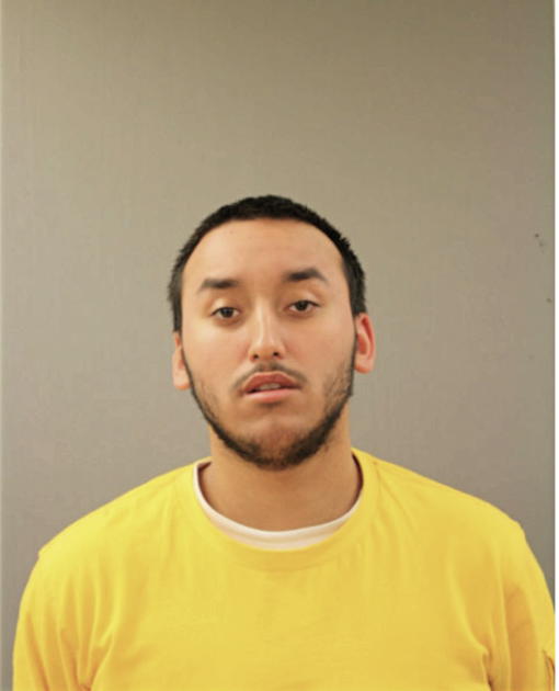 JOEL G LUGO, Cook County, Illinois