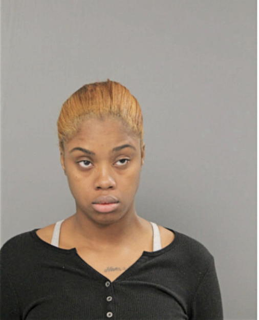 CHANDLER S MATTHEWS, Cook County, Illinois