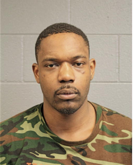 JOSEPH J NGU, Cook County, Illinois
