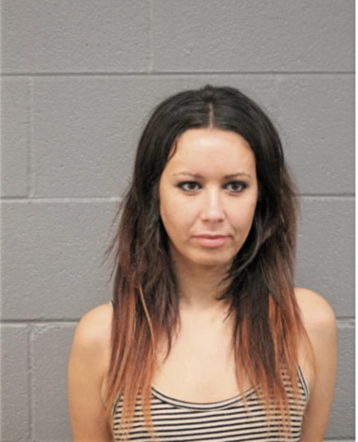 MARIANNE H NICHOLS, Cook County, Illinois