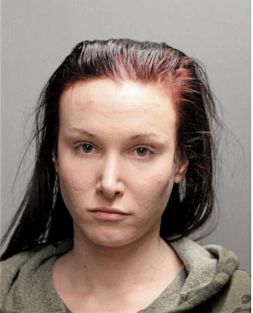 SHANNON M OHARA, Cook County, Illinois