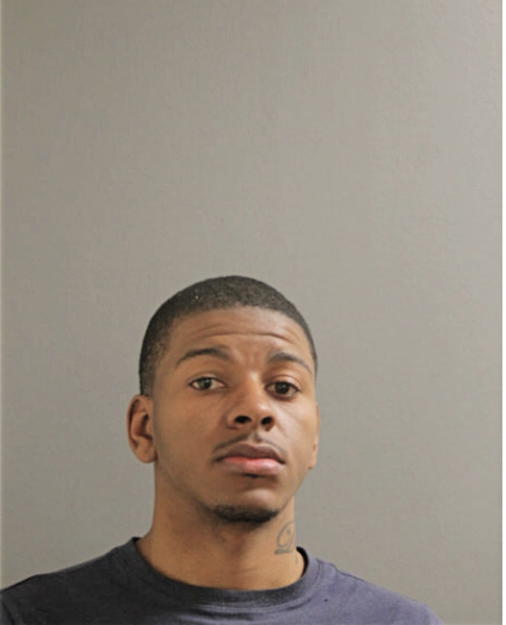 MICHAEL K RAGGS, Cook County, Illinois