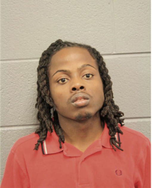 MICHAEL M REED, Cook County, Illinois