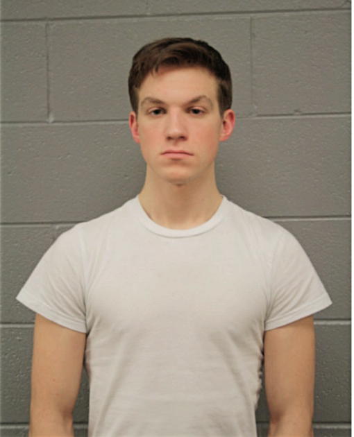 BRYCE C ROPER, Cook County, Illinois