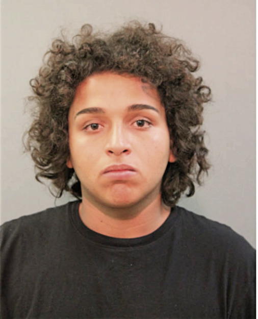 FRANKLIN Y RUIZ ZELAYA, Cook County, Illinois