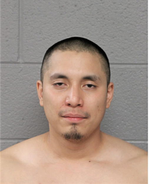 ADONIS SALGADO, Cook County, Illinois