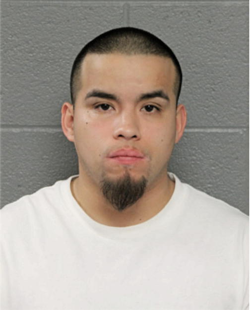 MARIO X VELEZ, Cook County, Illinois