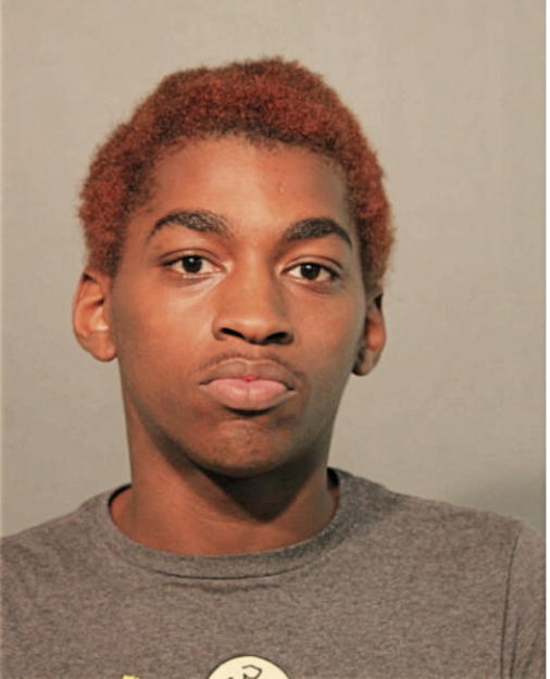 NATAN I WARFIELD, Cook County, Illinois
