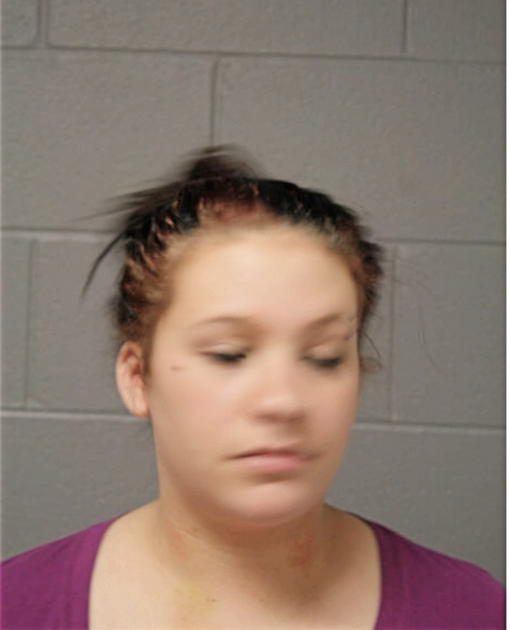 TAYLOR H WILLIAMS, Cook County, Illinois