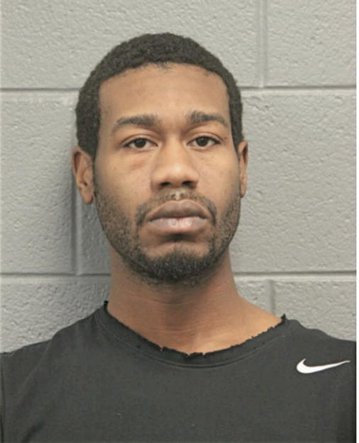 MICHAEL E ANDERSON, Cook County, Illinois