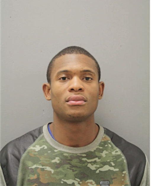 STEPHAN DE ANDRE SANDER, Cook County, Illinois