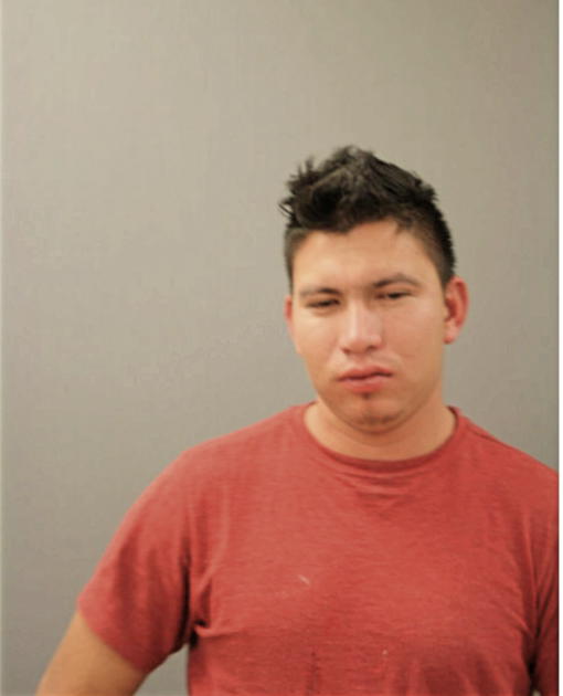 GERSON DOMINGO CARDONA PINEDA, Cook County, Illinois