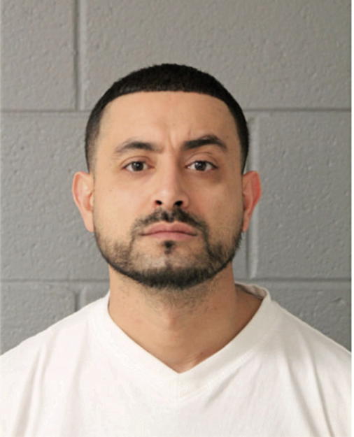 FEDIE M CHANI, Cook County, Illinois
