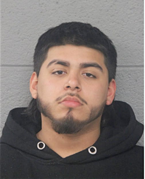 DAMIEN A CHAVEZ, Cook County, Illinois