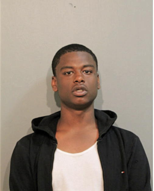 CHRISTOPHER D HIBBLER, Cook County, Illinois