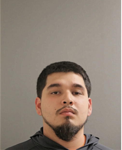 JUAN F RENDON, Cook County, Illinois