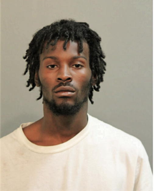 VINCENT D FISHER, Cook County, Illinois