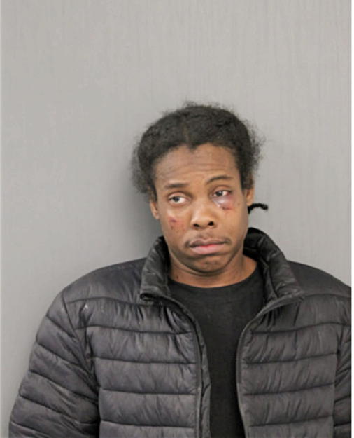 SHANNON R FRYE, Cook County, Illinois