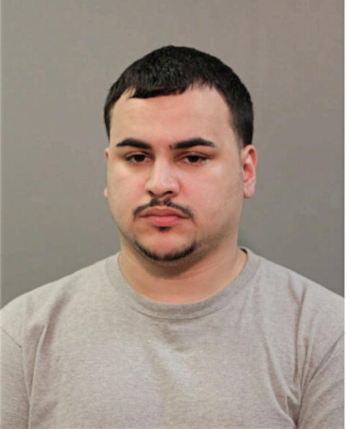 ALEXANDER E GUZMAN, Cook County, Illinois