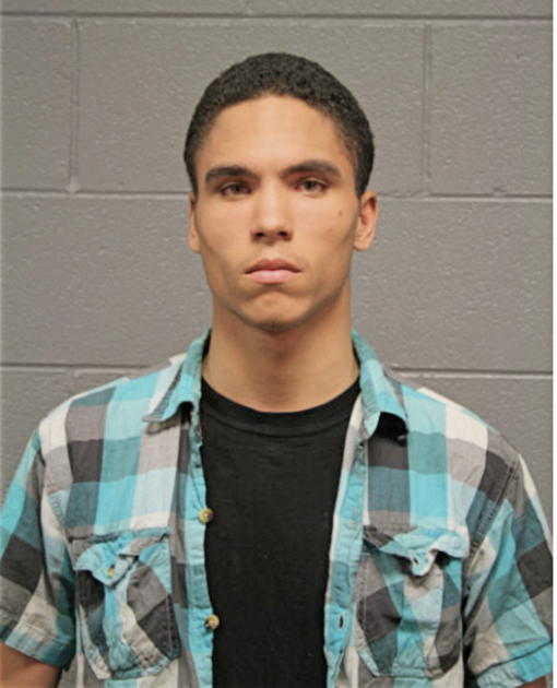 TYLER T HENDRIX, Cook County, Illinois