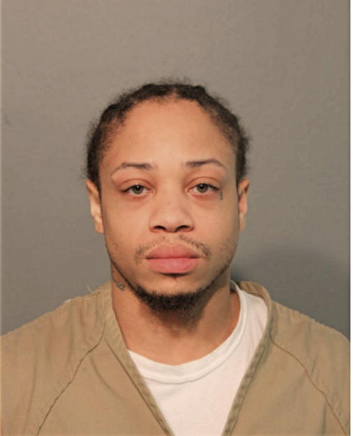 TERRANCE J HOGAN, Cook County, Illinois