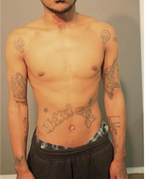 MARSHALL J HOWARD, Cook County, Illinois