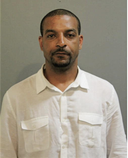 BRIAN J JOHNSON, Cook County, Illinois