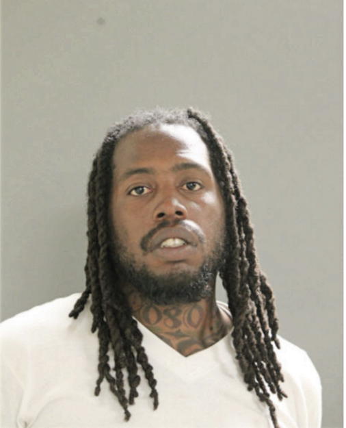 EVERETT A JOHNSON, Cook County, Illinois