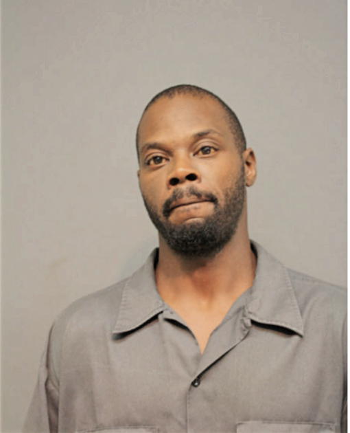 LASHAUN E JOHNSON, Cook County, Illinois