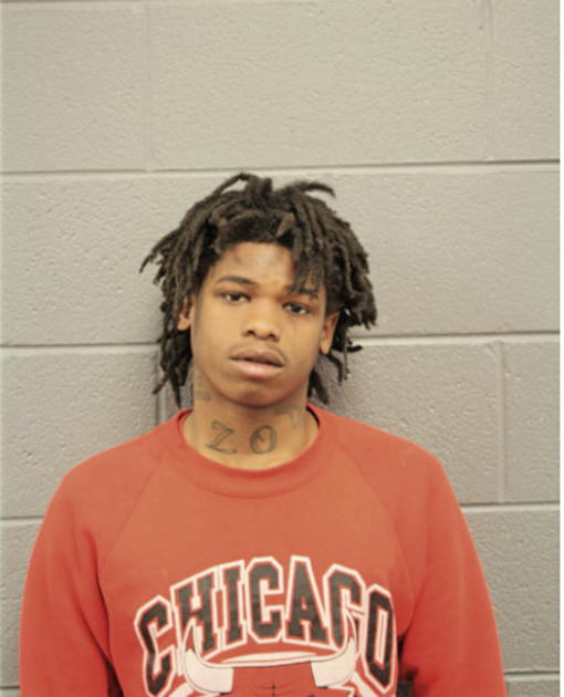 LORENZO G JOHNSON, Cook County, Illinois