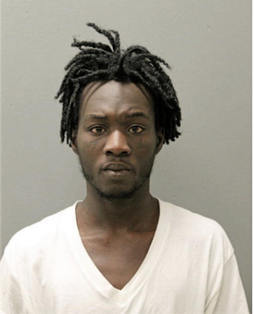 DEVONTE M L DIXON, Cook County, Illinois