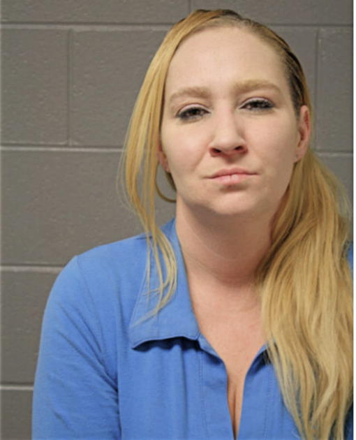 AMY D LONG, Cook County, Illinois